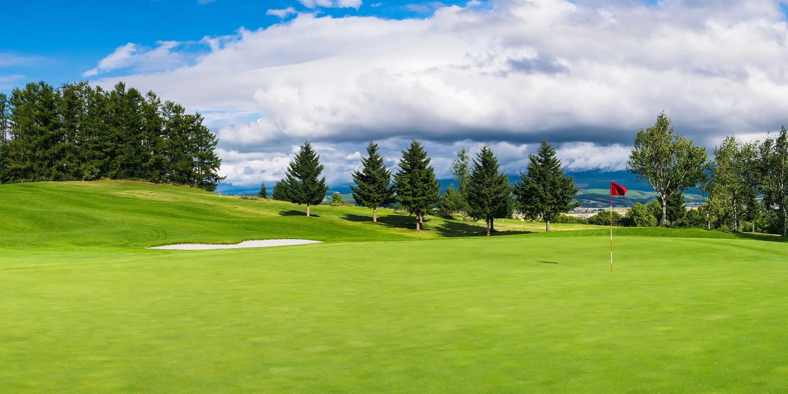 サカモト総業について